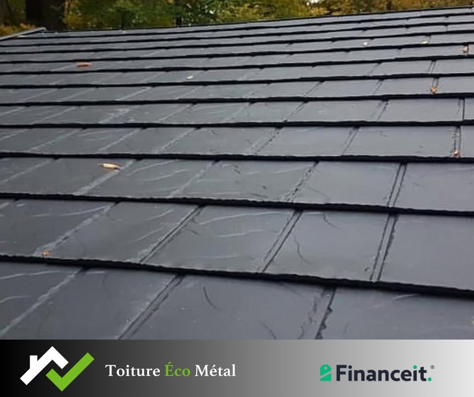 Maison avec toiture métal durable